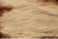 Photo Texture of Fabric Leather 0005